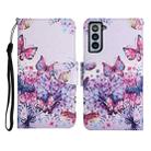 For Samsung Galaxy S21 FE 5G Painted Pattern Horizontal Flip Leather Case with Holder & Card Slot & Wallet(Bright Butterfly) - 1