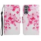 For Samsung Galaxy S21+ 5G Painted Pattern Horizontal Flip Leather Case with Holder & Card Slot & Wallet(Red Flower) - 1