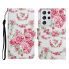 For Samsung Galaxy S21 Ultra 5G Painted Pattern Horizontal Flip Leather Case with Holder & Card Slot & Wallet(Rose Flower) - 1
