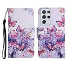 For Samsung Galaxy S21 Ultra 5G Painted Pattern Horizontal Flip Leather Case with Holder & Card Slot & Wallet(Bright Butterfly) - 1