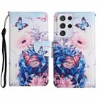 For Samsung Galaxy S21 Ultra 5G Painted Pattern Horizontal Flip Leather Case with Holder & Card Slot & Wallet(Purple Butterfly) - 1