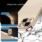 For iPhone 13 Pro Electroplated Edge Frosted TPU Shockproof Case (Gold) - 6