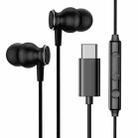 JOYROOM JR-EC04 Type-C In-ear Wired Control Earphone with Mic, Cable Length: 1.2m(Black) - 1