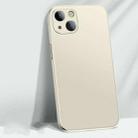 AG Matte Glass Liquid Silicone Skin Feel Magsafe Phone Case For iPhone 13(Antique White) - 1
