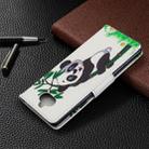 For Sony Xperia 20 Colored Drawing Pattern Horizontal Flip Leather Case with Holder & Card Slots & Wallet(Panda Bamboo) - 7