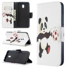 For Xiaomi Redmi 8A Colored Drawing Pattern Horizontal Flip Leather Case with Holder & Card Slots & Wallet(Football Panda) - 1