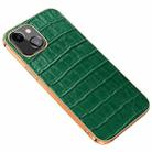 For iPhone 13 Electroplated Edge Crocodile Texture Top Layer Cowhide Leather Back Cover Shockproof Case(Green) - 1