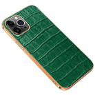 Electroplated Edge Crocodile Texture Top Layer Cowhide Leather Back Cover Shockproof Case For iPhone 13 Pro Max(Green) - 1