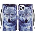 For iPhone 13 Pro Painted Pattern Horizontal Flip Leather Case with Holder & Card Slots & Photo Frame (White Wolf) - 1