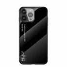 Gradient Color Painted TPU Edge Glass Case For iPhone 13 Pro Max(Elegant Black) - 1