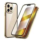 For iPhone 13 Pro HD Magnetic Metal Frame Double-sided Tempered Glass Phone Case (Gold) - 1