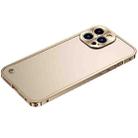 For iPhone 13 Pro Metal Frame Frosted PC Shockproof Phone Case (Gold) - 1