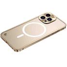 For iPhone 13 Pro Max Metal Frame Frosted PC Shockproof Magsafe Case (Gold) - 1