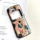 For Motorola Razr 5G IMD Blue Light Jungle Flowers Pattern Folding Phone Protective Case(Parrot) - 1