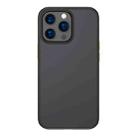 For iPhone 13 Pro TOTUDESIGN AA-178 Gingle Series Translucent Matte PC + TPU Phone Case (Black) - 1