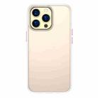 For iPhone 13 TOTUDESIGN AA-178 Gingle Series Translucent Matte PC + TPU Phone Case Pro Max(Translucent) - 1