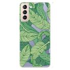 For Samsung Galaxy S22 5G Painted Pattern High Transparent TPU Phone  Protective Case(Banana Leaf) - 1