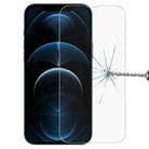 For iPhone 12 Pro Max WK WTP-064 Bounty Series 6D Curved HD Tempered Glass Film - 1