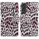 For Samsung Galaxy S22 5G Painted Pattern Horizontal Flip Phone Leather Case with Holder & Card Slots & Photo Frame(Leopard) - 1