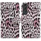 For Samsung Galaxy S22+ 5G Painted Pattern Horizontal Flip Phone Leather Case with Holder & Card Slots & Photo Frame(Leopard) - 1