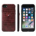 For iPhone 7 / 8 Crocodile Texture TPU + Leather Protective Case with Card Slot(Brown) - 1