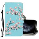 For iPhone 11 Pro 3D Colored Drawing Horizontal Flip PU Leather Case with Holder & Card Slots & Wallet(Magnolia) - 1