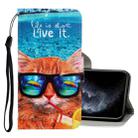 For iPhone 11 Pro 3D Colored Drawing Horizontal Flip PU Leather Case with Holder & Card Slots & Wallet(Underwater Cat) - 1