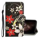 For iPhone 11 Pro Max 3D Colored Drawing Horizontal Flip PU Leather Case with Holder & Card Slots & Wallet(Red Flower) - 1