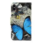 For iPhone XS Max 3D Colored Drawing Horizontal Flip PU Leather Case with Holder & Card Slots & Wallet(A Butterfly) - 3