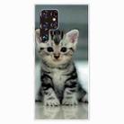 For Samaung Galaxy S22 Ultra 5G Painted Pattern High Transparent TPU Phone Case(Sitting Cat) - 1