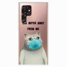 For Samaung Galaxy S22 Ultra 5G Painted Pattern High Transparent TPU Phone Case(Mask Cat) - 1