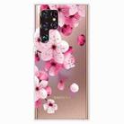 For Samaung Galaxy S22 Ultra 5G Painted Pattern High Transparent TPU Phone Case(Cherry Blossoms) - 1