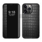 Crocodile Texture Windows View Horizontal Flip Leather Case For iPhone 13 Pro(Black) - 1