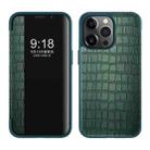 For iPhone 13 Pro Crocodile Texture Windows View Horizontal Flip Leather Case (Green) - 1