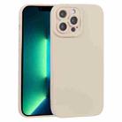 For iPhone 13 Pro Max TPU Oil-sprayed Soft Phone Case (Khaki) - 1