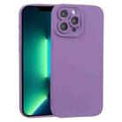 For iPhone 13 Pro Max TPU Oil-sprayed Soft Phone Case (Purple) - 1