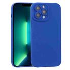 For iPhone 13 Pro Max TPU Oil-sprayed Soft Phone Case (Blue) - 1