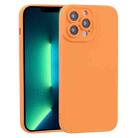 For iPhone 13 Pro Max TPU Oil-sprayed Soft Phone Case (Orange) - 1