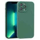 For iPhone 13 Pro Max TPU Oil-sprayed Soft Phone Case (Dark Green) - 1