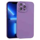 For iPhone 13 Pro TPU Oil-sprayed Soft Phone Case (Purple) - 1