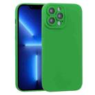 For iPhone 13 Pro TPU Oil-sprayed Soft Phone Case (Green) - 1