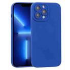 For iPhone 13 Pro TPU Oil-sprayed Soft Phone Case (Blue) - 1