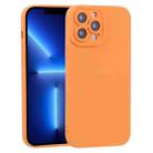 For iPhone 13 Pro TPU Oil-sprayed Soft Phone Case (Orange) - 1