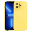 For iPhone 13 Pro TPU Oil-sprayed Soft Phone Case (Yellow) - 1