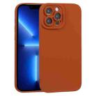 For iPhone 13 Pro TPU Oil-sprayed Soft Phone Case (Red Brown) - 1