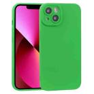 For iPhone 13 TPU Oil-sprayed Soft Phone Case(Green) - 1