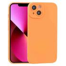 For iPhone 13 TPU Oil-sprayed Soft Phone Case(Orange) - 1