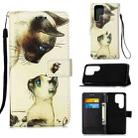 For Samsung Galaxy S22 Ultra 5G Colored Drawing Pattern Plain Weave Leather Phone Case with Holder & Card Slot & Wallet & Lanyard(Cat Looking) - 1