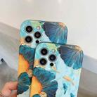 IMD Workmanship TPU Shockproof Phone Case For iPhone 12 Pro(Nine Fishes Picture) - 3