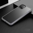 For iPhone 11 Pro Frosted Back Shockproof Phone Case (Grey) - 1